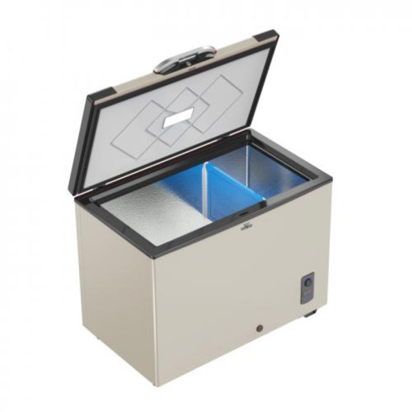 Walton 255 Ltr Freezer WCG-2E5-EHLC-XX